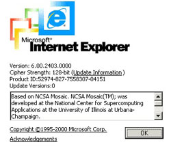 IE 6.0